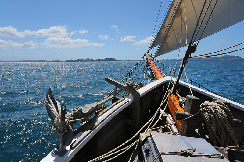 Sail on the R Tucker Thompson, Bay of Islands, NZ